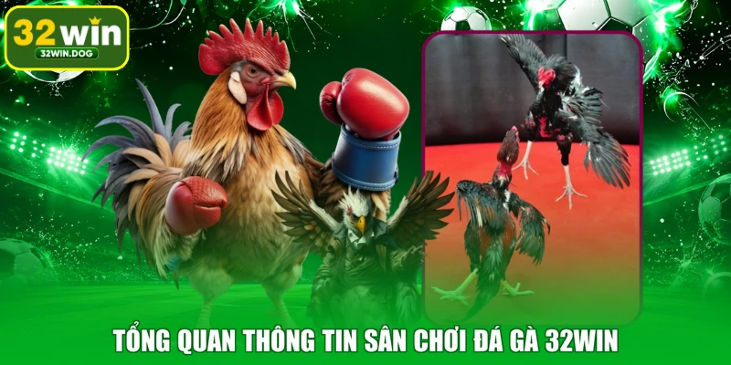 Tổng quan thông tin sân chơi đá gà 32WIN